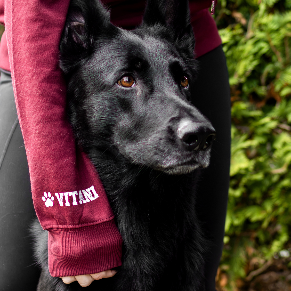 Hoodie personalisiert - Crazy Dog Lady